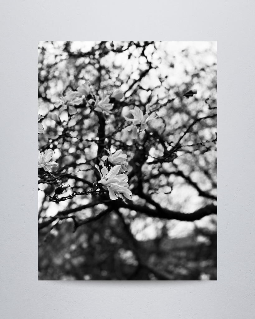 Nature #10