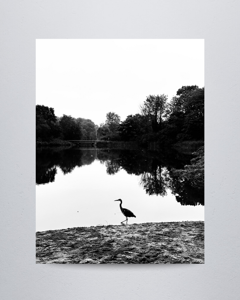 Nature #11