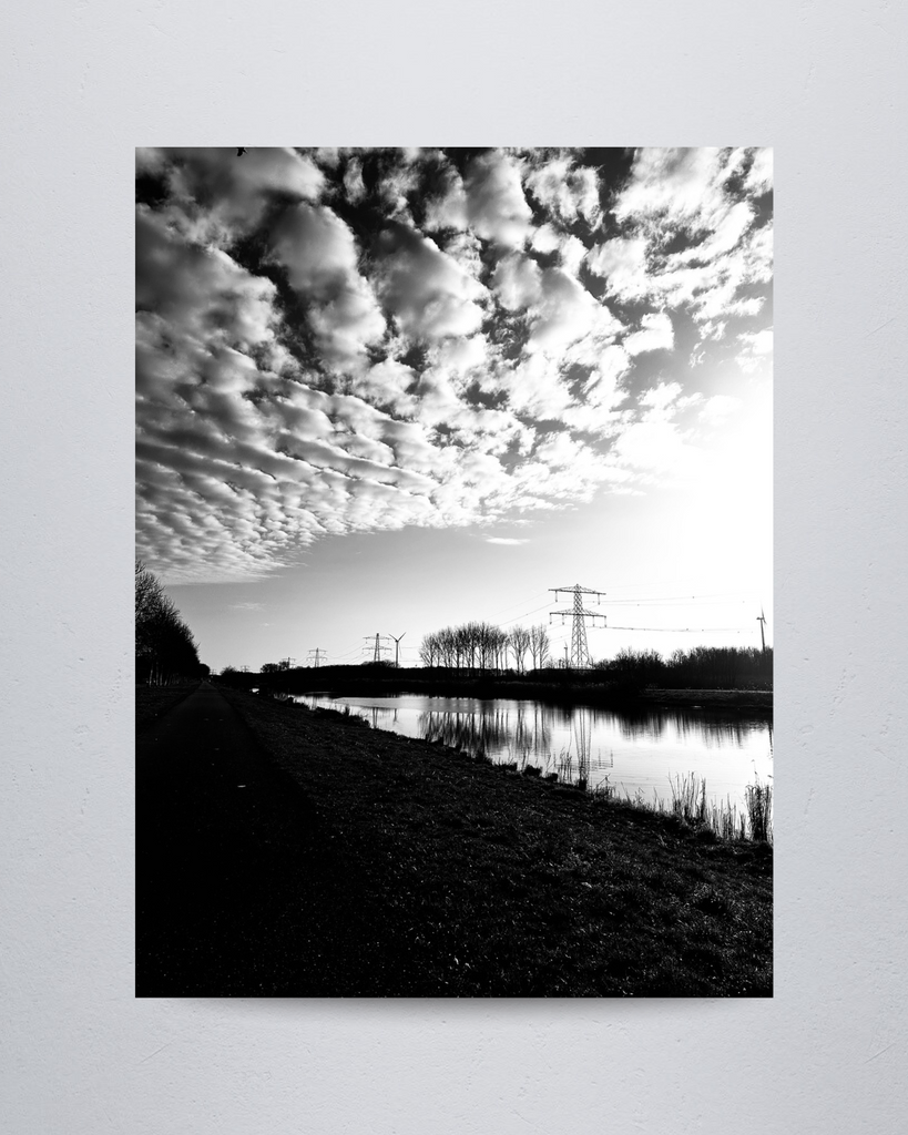 Nature #12