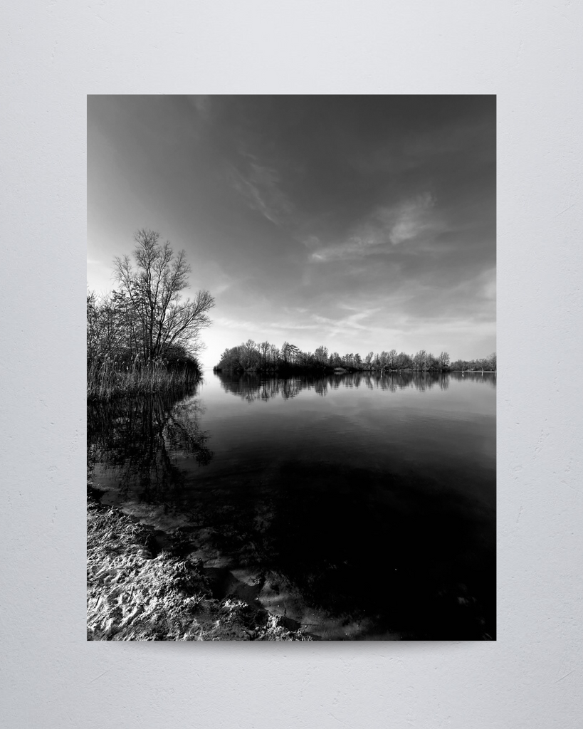 Nature #13