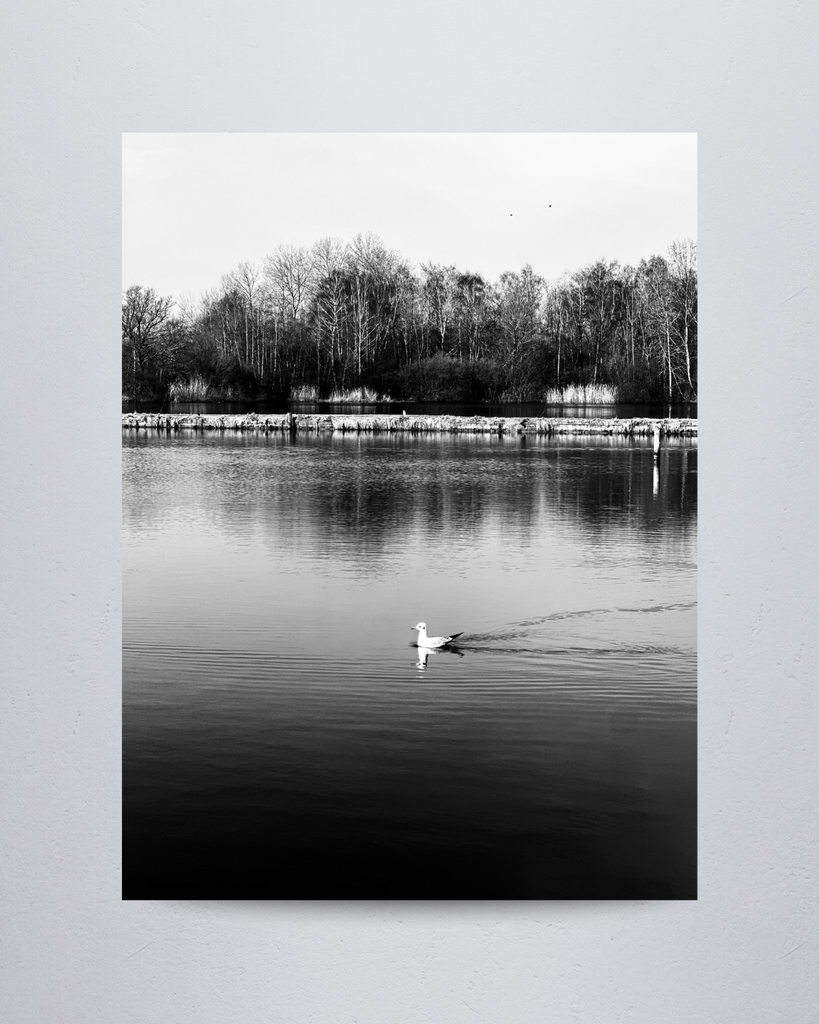 Nature #14