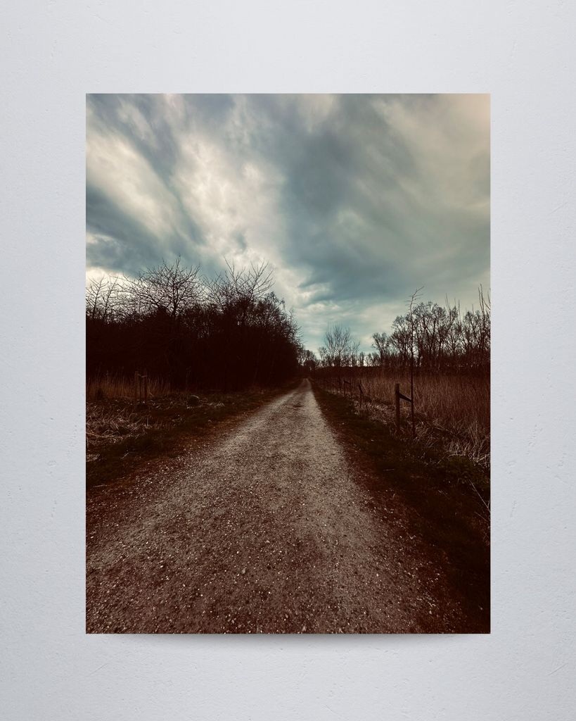 Nature #16