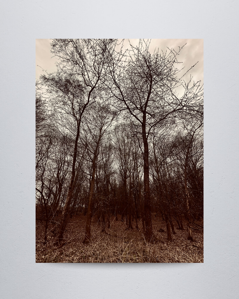 Nature #17