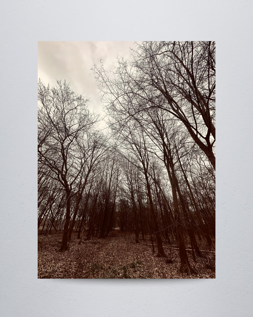 Nature #18
