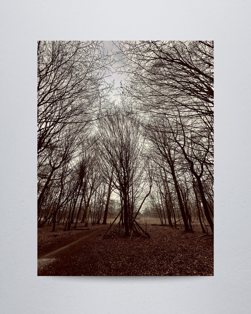 Nature #19