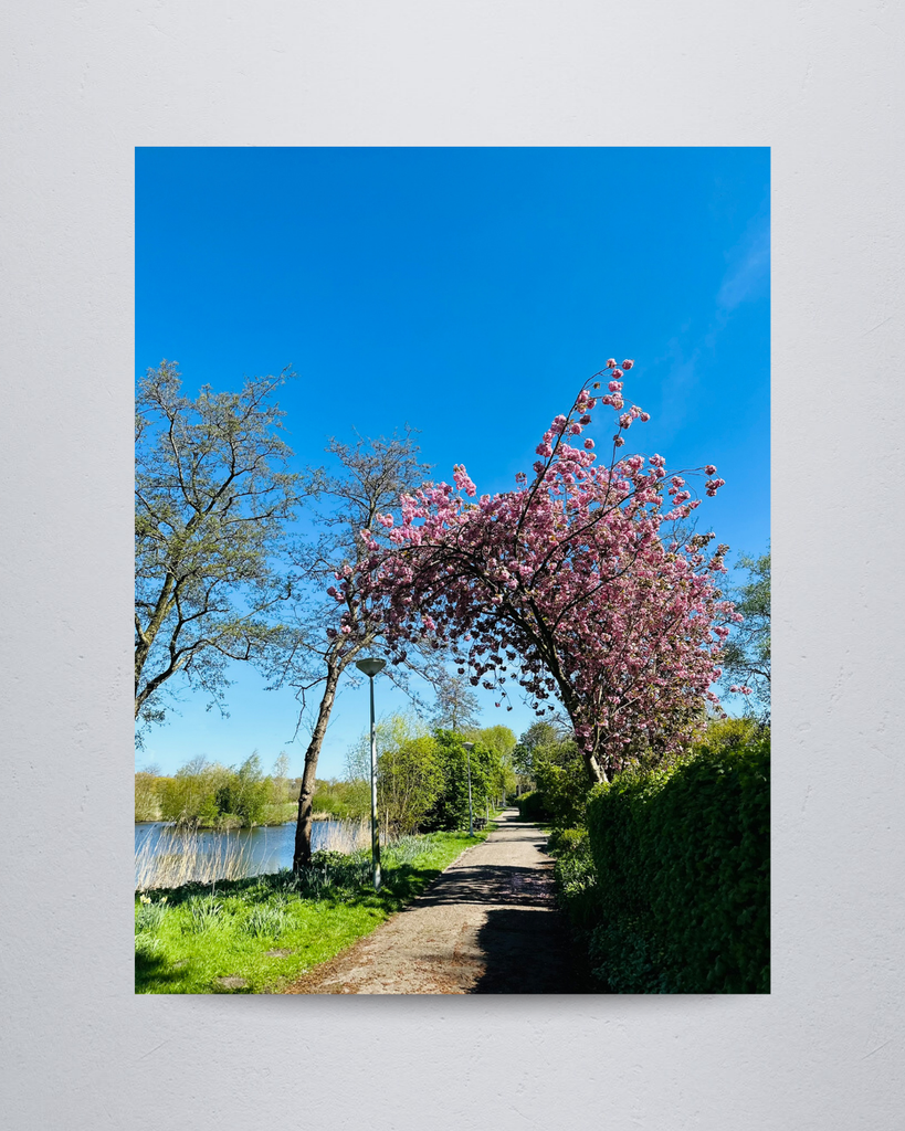 Nature #2