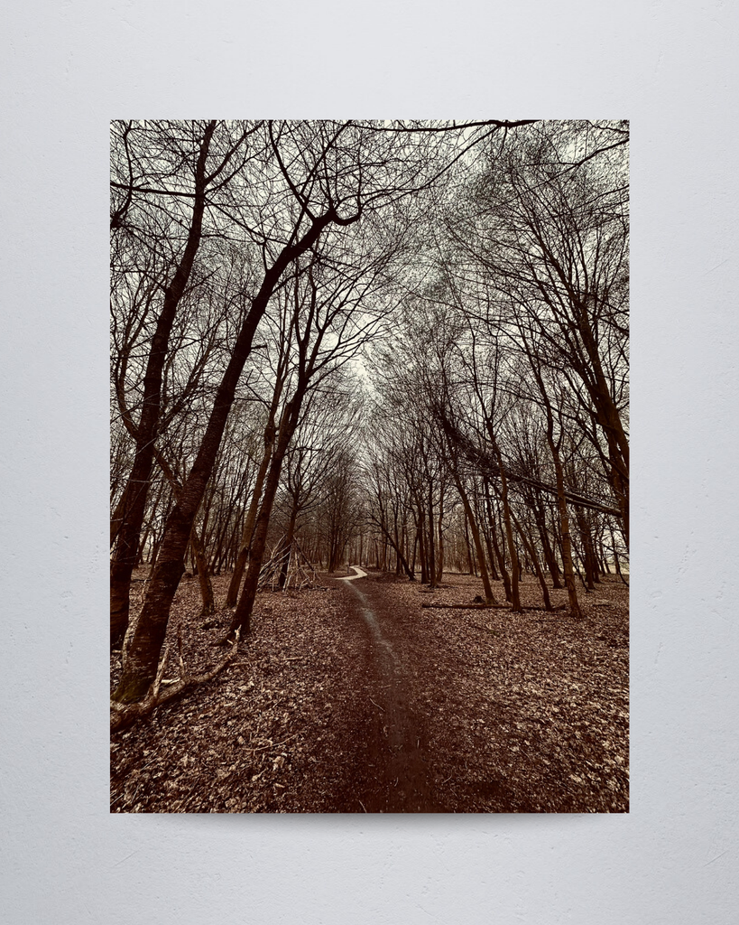 Nature #20