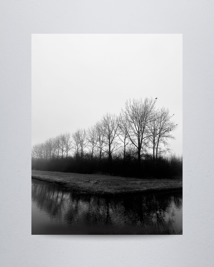 Nature #21
