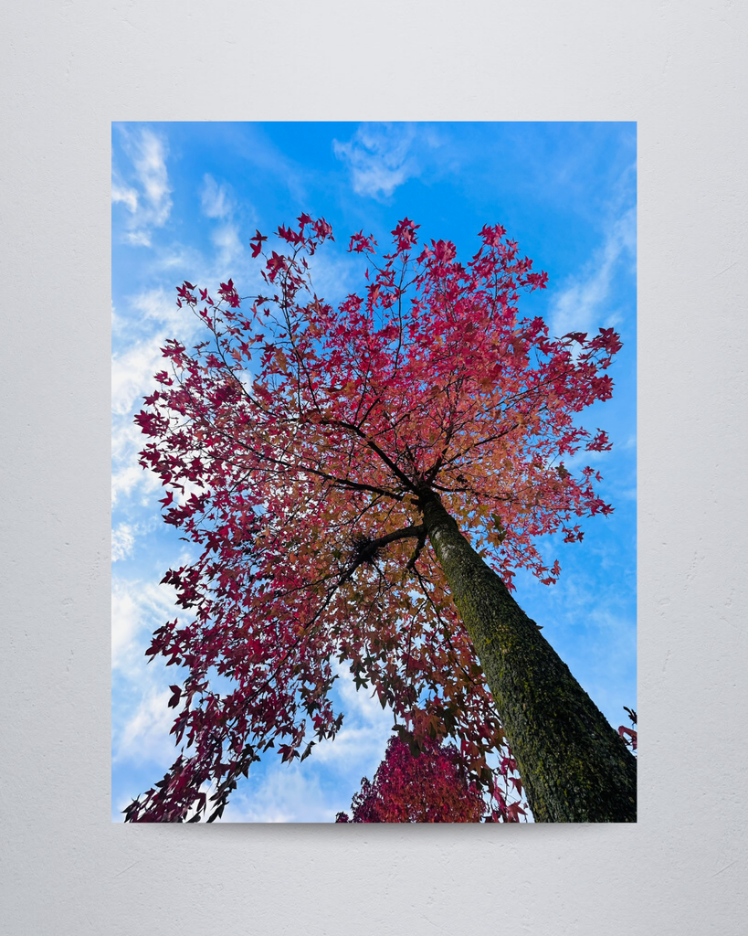 Nature #3