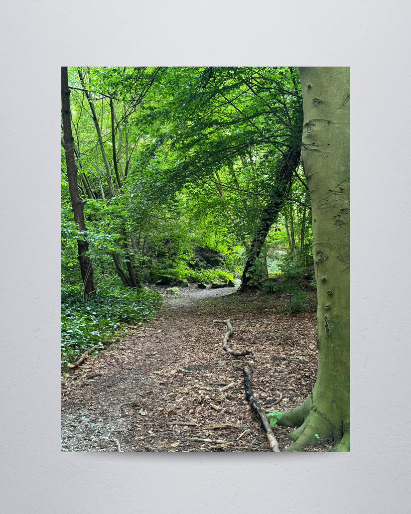 Nature #5