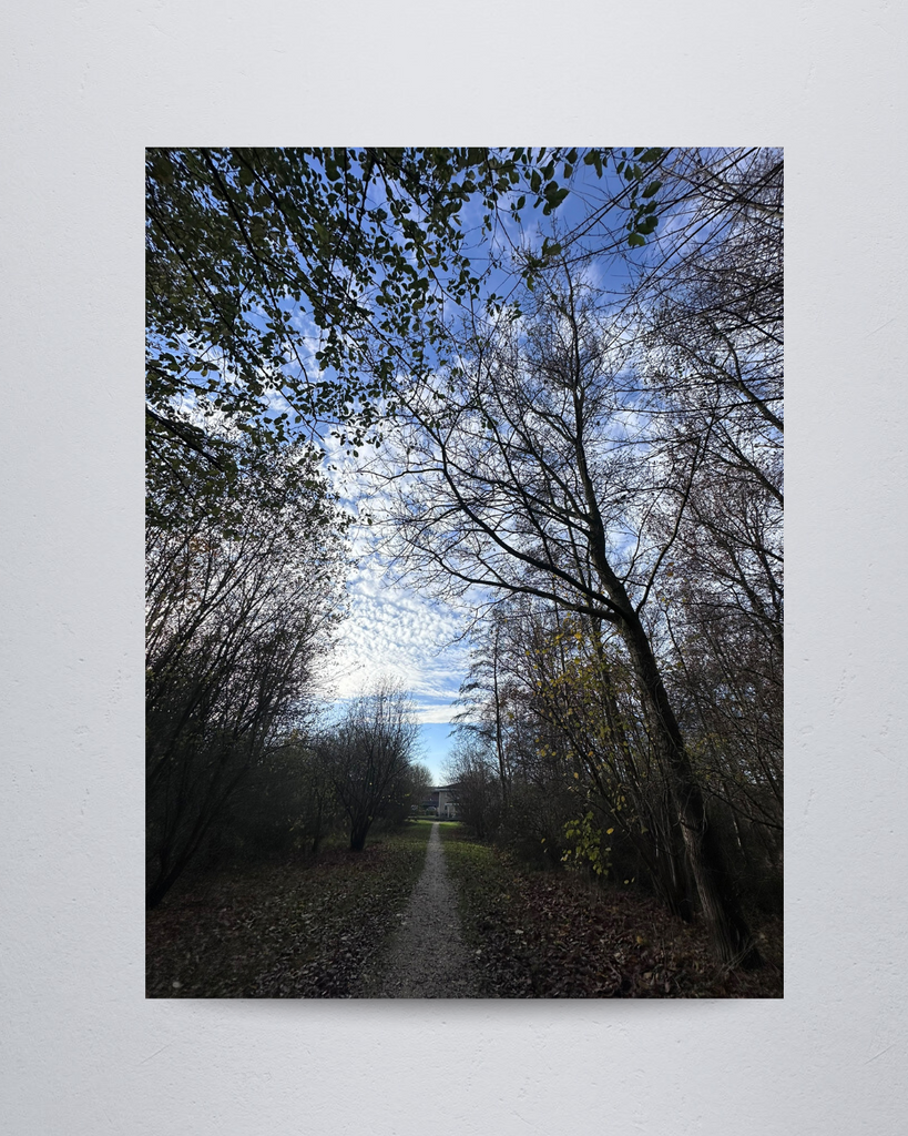 Nature #7